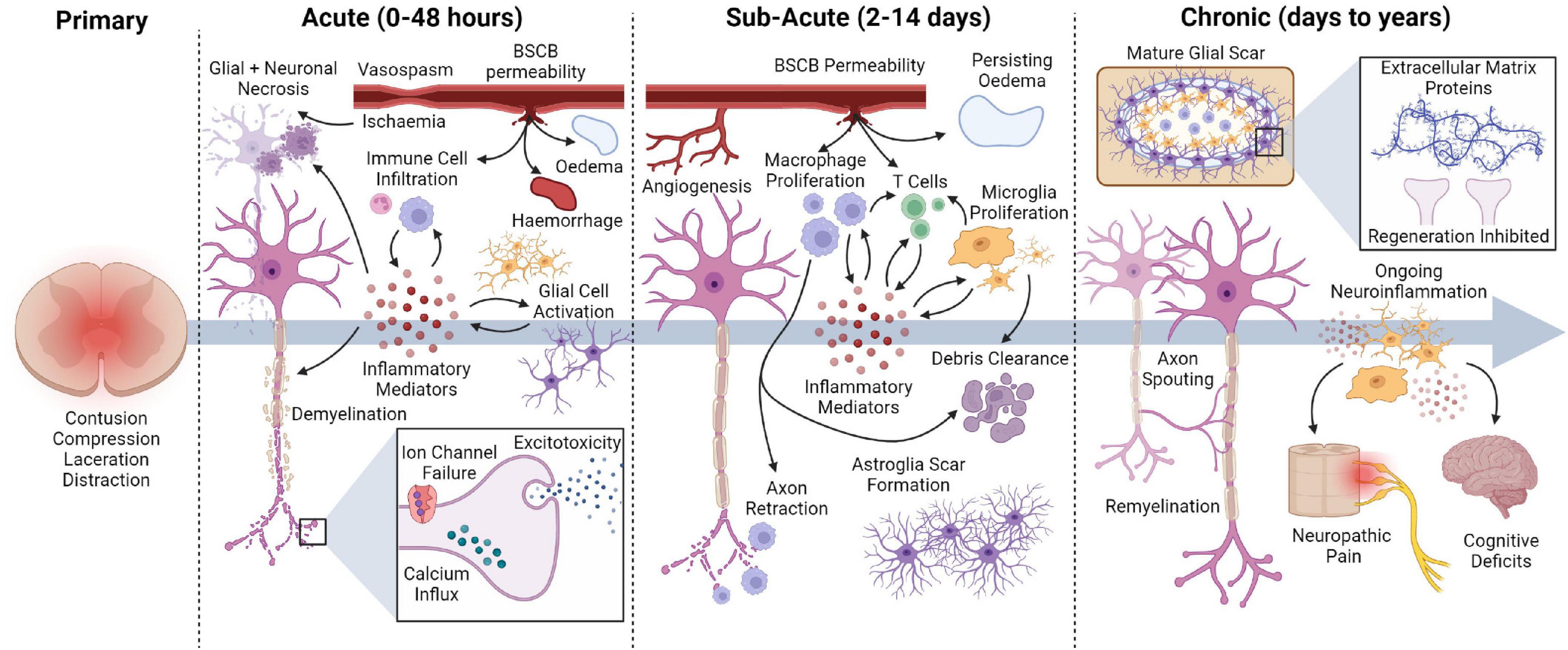 Frontiers Electrical stimulation for the treatment of spinal